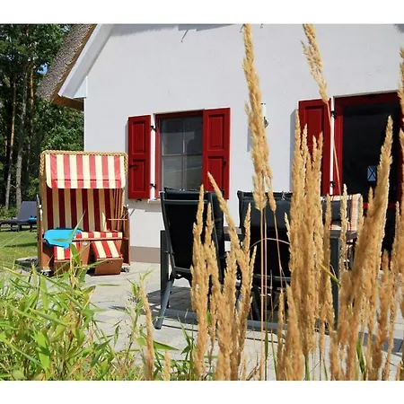 Strandburg Comfortable Glowe